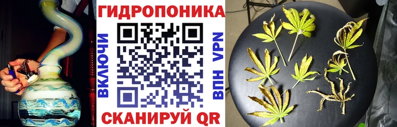 Бошки Шишки сатива Руза